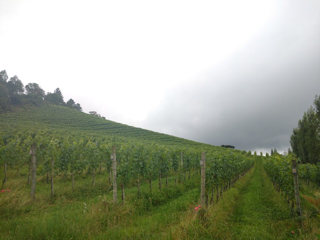 Ravanello: bons vinhos e cenário italiano em Gramado 