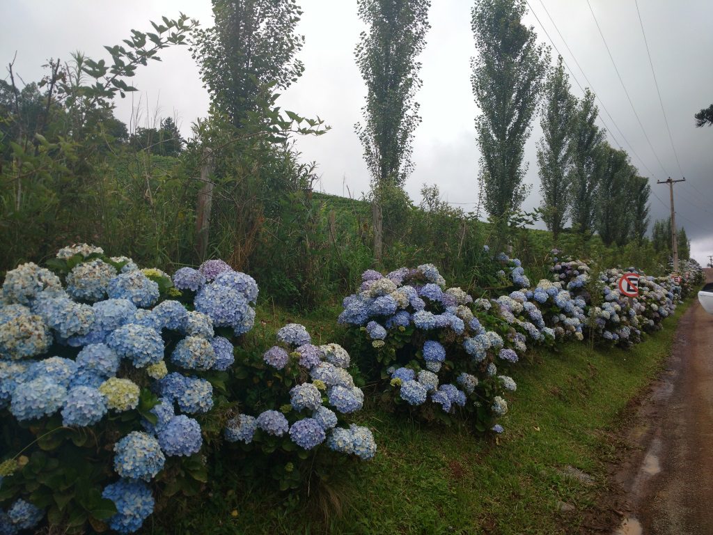 Pavimentação da rua de acesso à Vinícola Ravanello será concluída em março  - Gramado - Jornal de Gramado