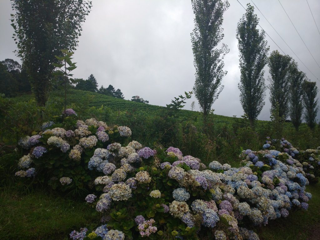 Vinicola Ravanello - Gramado-RS 