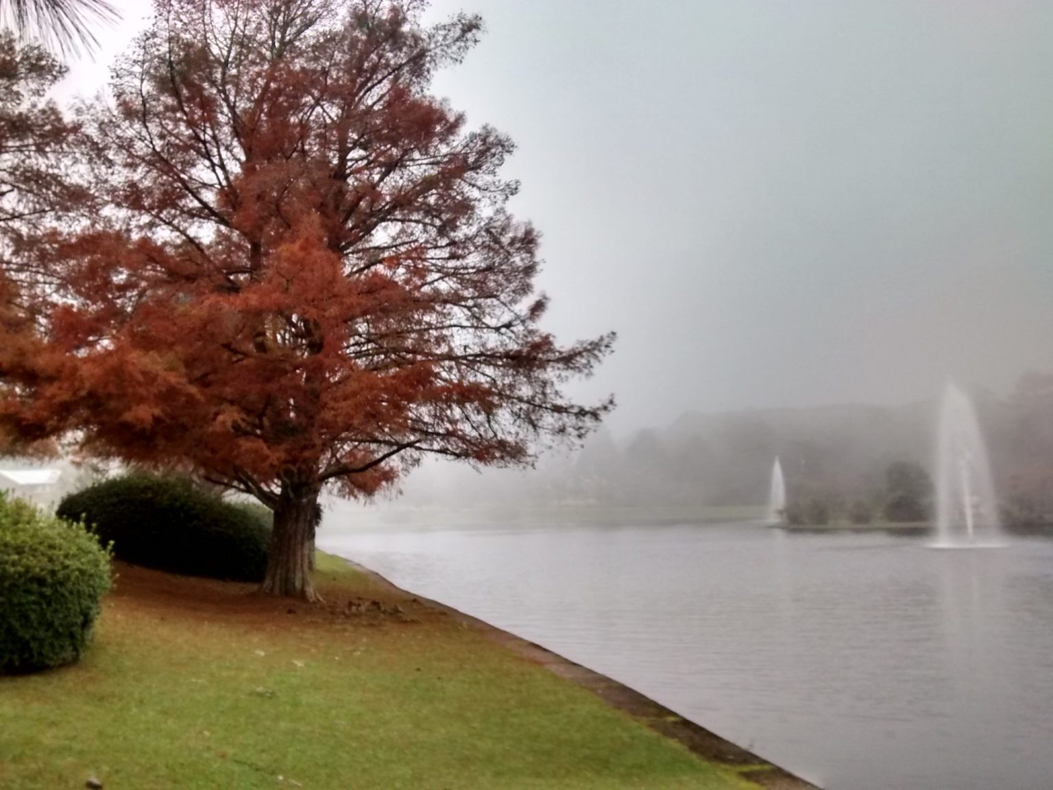 Gramado em dezembro Gramado Blog