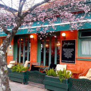 Lugares românticos em Gramado e Canela para pedir em casamento. Na foto, o restaurante Josephina visto pelo lado de fora, cercado por uma árvore com flores rosa, um ambiente de muito bom gosto