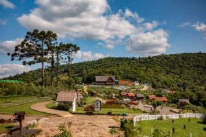 Onde Comprar Ingressos para o Olivas de Gramado?