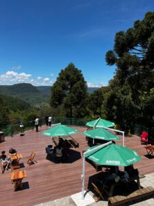 Quais são as atrações mais radicais do Alpen Park?